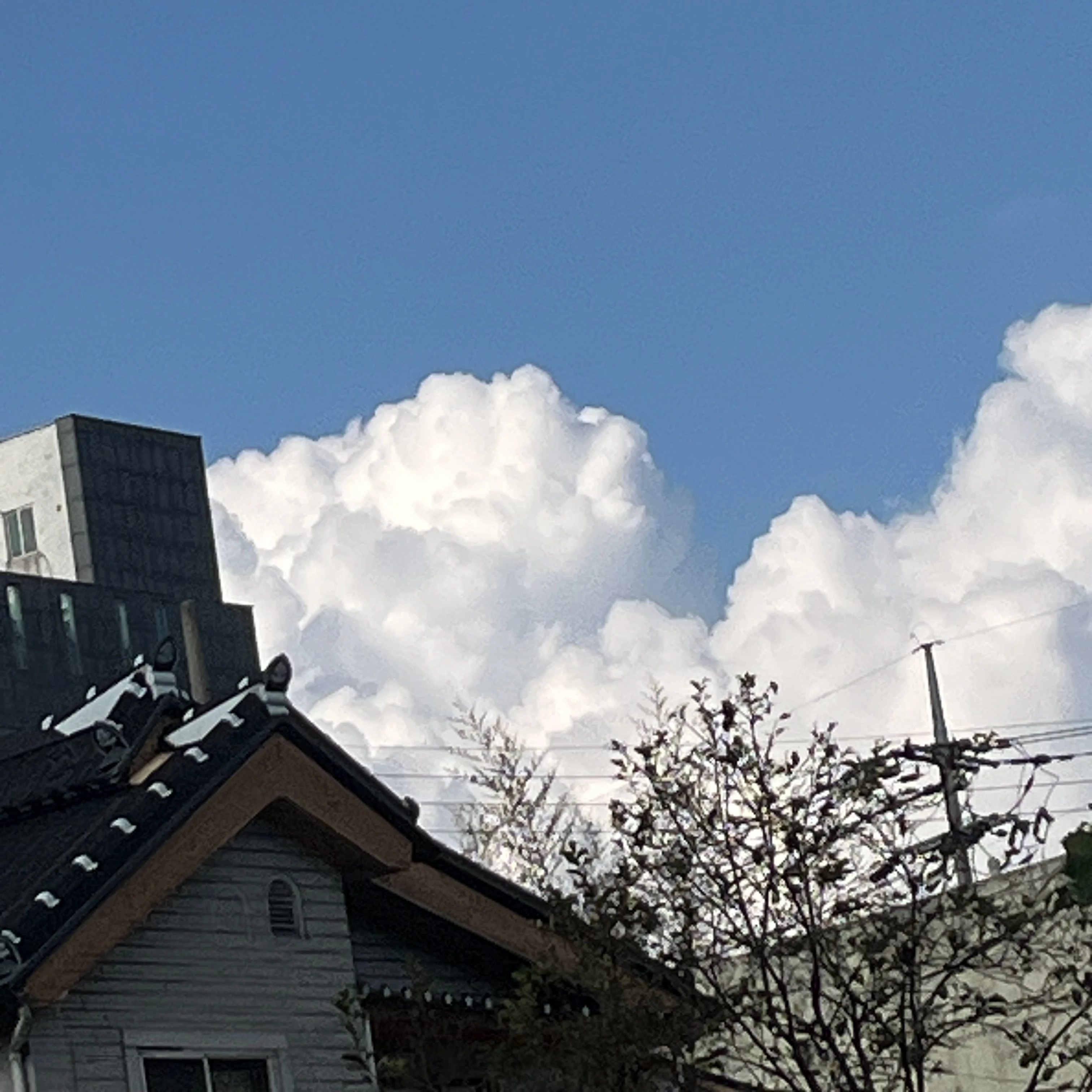 명재현
