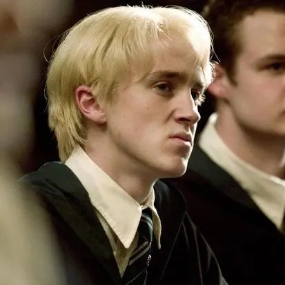 V.M의 Draco Malfoy Au the ixies