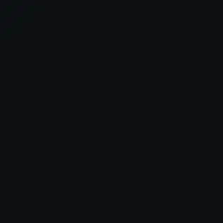 xvzir의 김동현