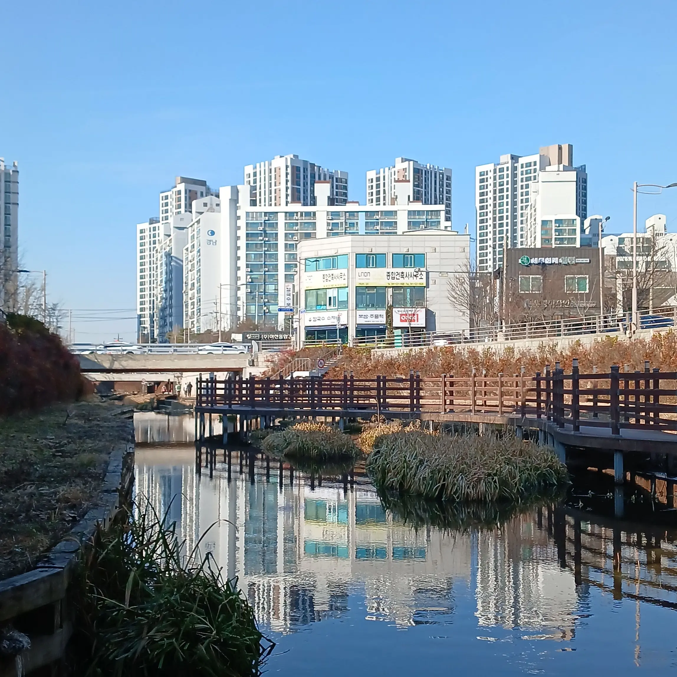 OvalLeg9477의 일본인 유저 경감