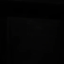 임상진