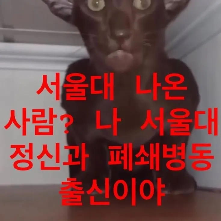 Omori_0318의 이지치 세이카