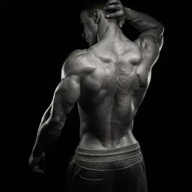 Profile image of Kaelan