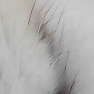 Pipye_Zzang의 서 시윤