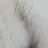 서 시윤