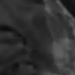 Profile image of 藤澤涼架