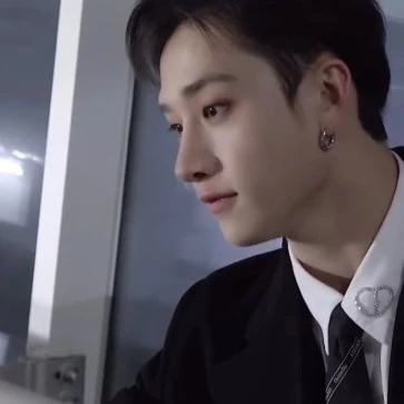 방찬 (스트레이키즈 방찬)