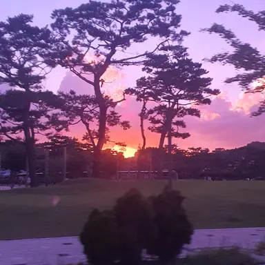 Profile image of 제미니