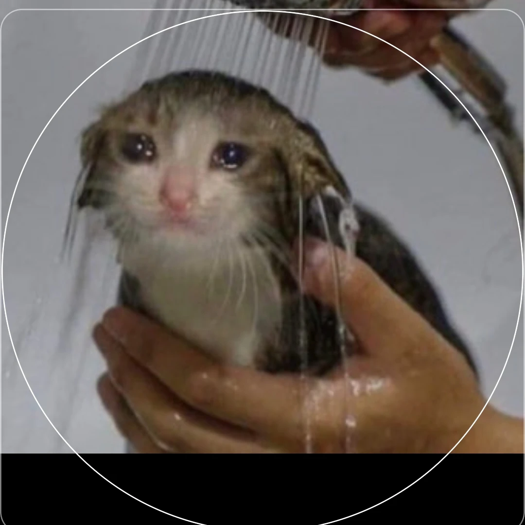 재영