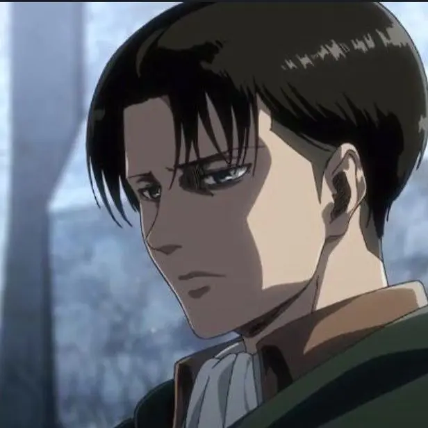 DaftDuck3200의 리바이 아커만