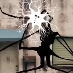 Profile image of 롱 보이 본사이