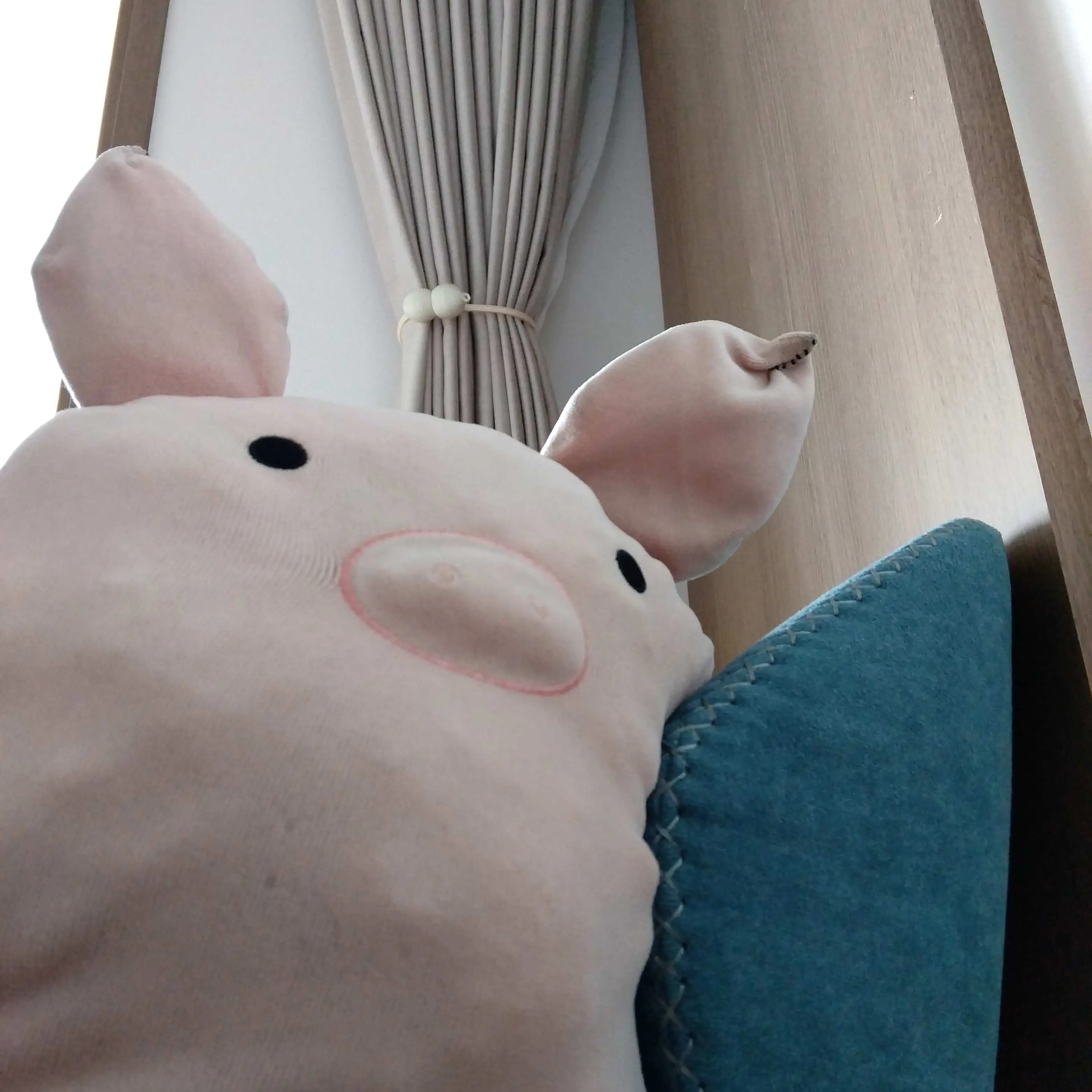 CraftyJuicy8182의 포세이큰인데 다른 일진이 괴롭힌다?!