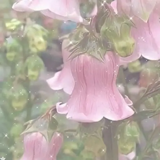 JONNA_LOVE_SOTA의 아저씨가 좋다는 철부지 꼬맹이