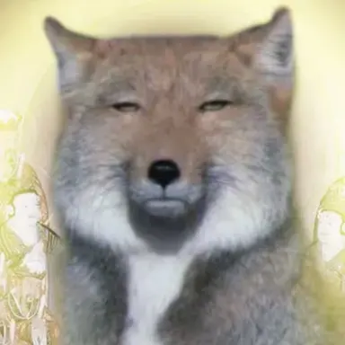 Profile image of 여우