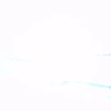 Profile image of 한정한