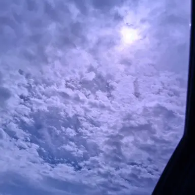 Profile image of 베이컨