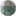 푸른거북