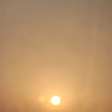 Profile image of 잠뜰