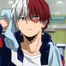 Profile image of Shoto Todoroki