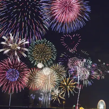 Profile image of 유기사