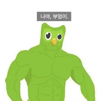 Profile image of 듀오링고