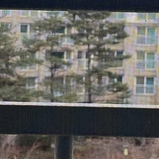 혜안져스 커플학교