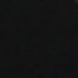 Profile image of 선생님