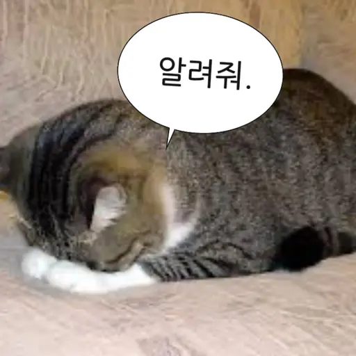 chx.y2xn의 찐따녀 채린