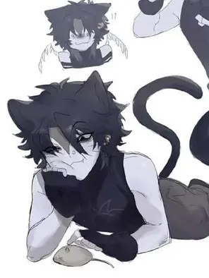ProudElliot_Glazer의 Your kitty partner
