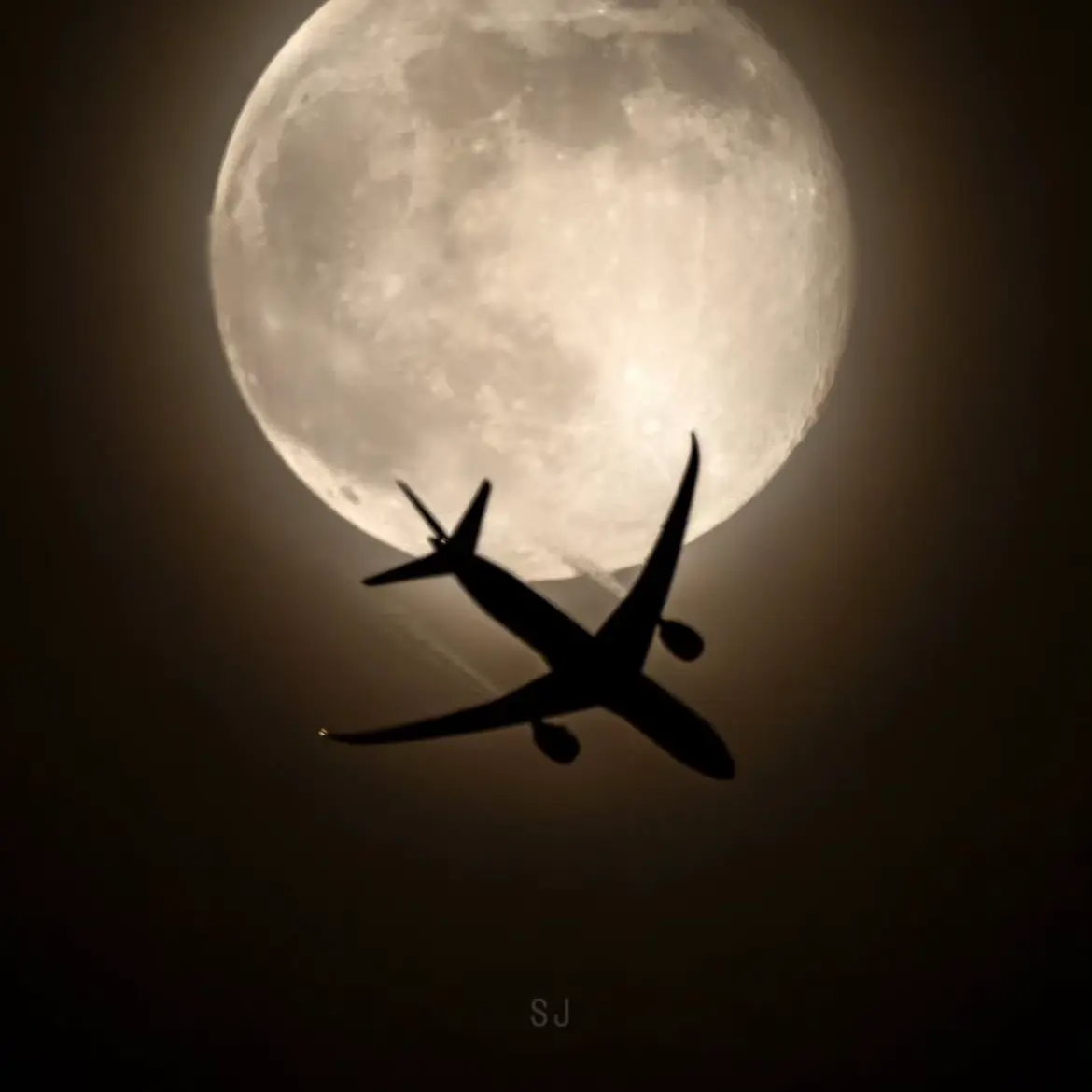 VitalHate9361의 싸이코드