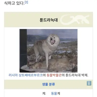 Profile image of 늑대