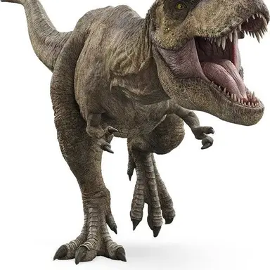 Profile image of 렉시