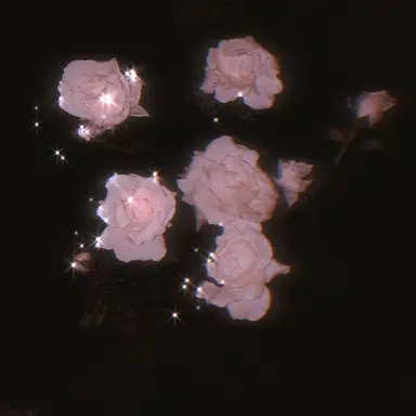 Profile image of 밥풀