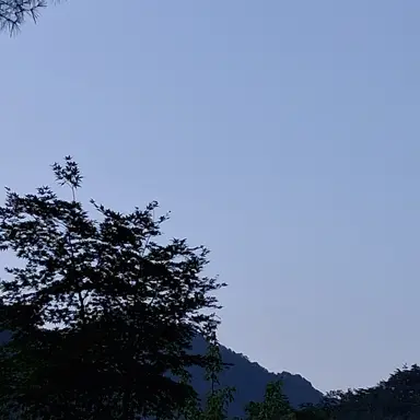 Profile image of 팀나빠