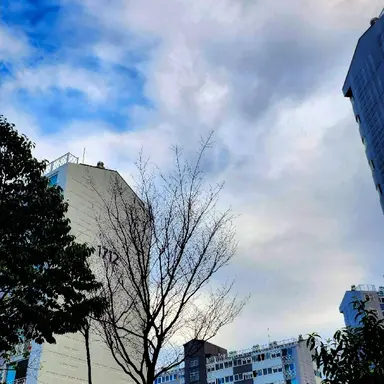 Profile image of 류