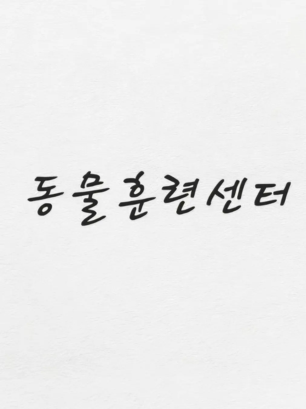 yoonjia1013의 뜰팁 동물훈련센터 (+여우