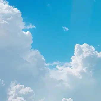 Profile image of 파이브