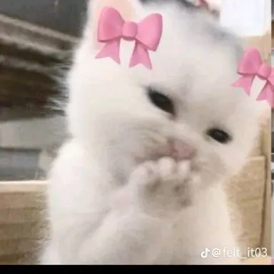 Profile image of 子猫ちゃん