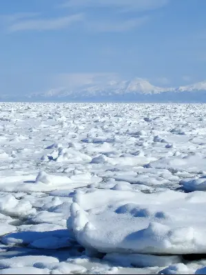 ItchyFresh5061의 北海道の海！！自分専用！！