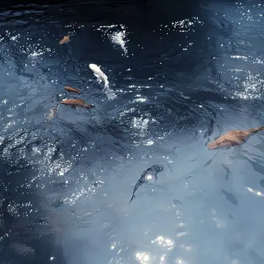 Profile image of 파크모