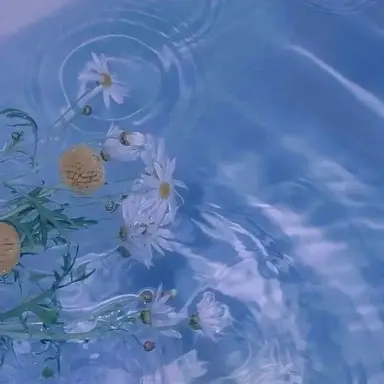 Profile image of 파이브