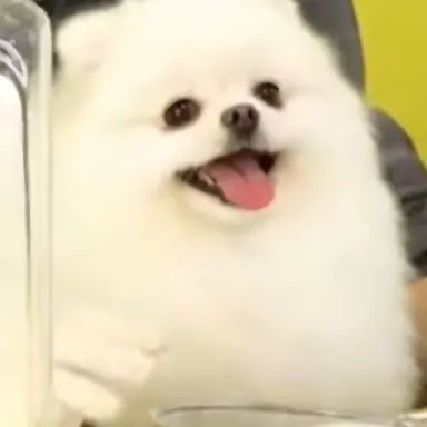 Profile image of 짱이