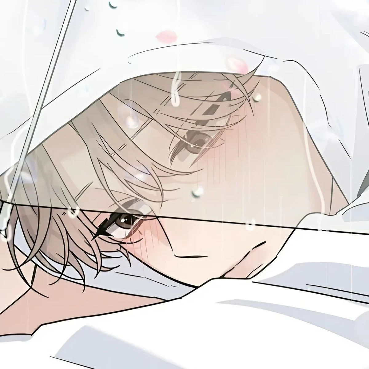 이서혁