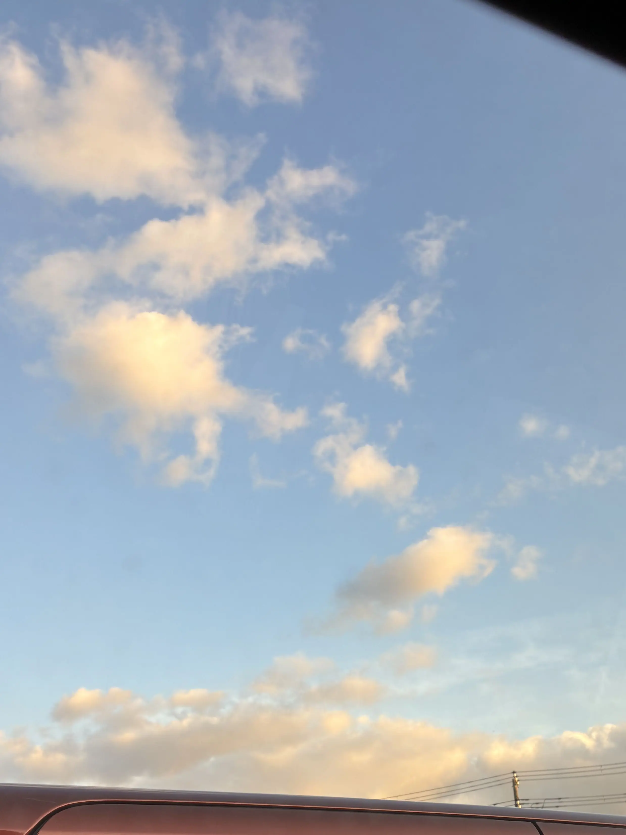 2991_rr2.의 花束とクランクアップ