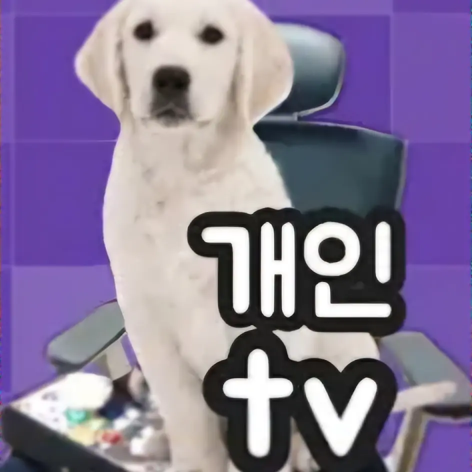 Omori_0318의 강아지 고양이