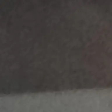 Profile image of 김시훈