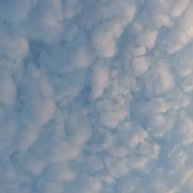 Profile image of 마플