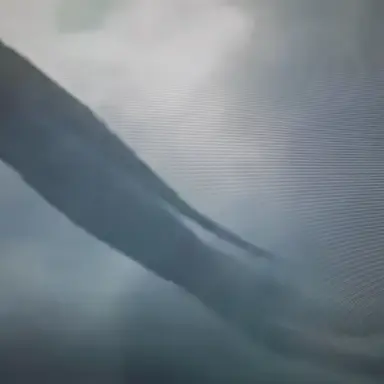 Profile image of 의문