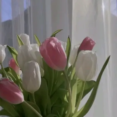 Profile image of user