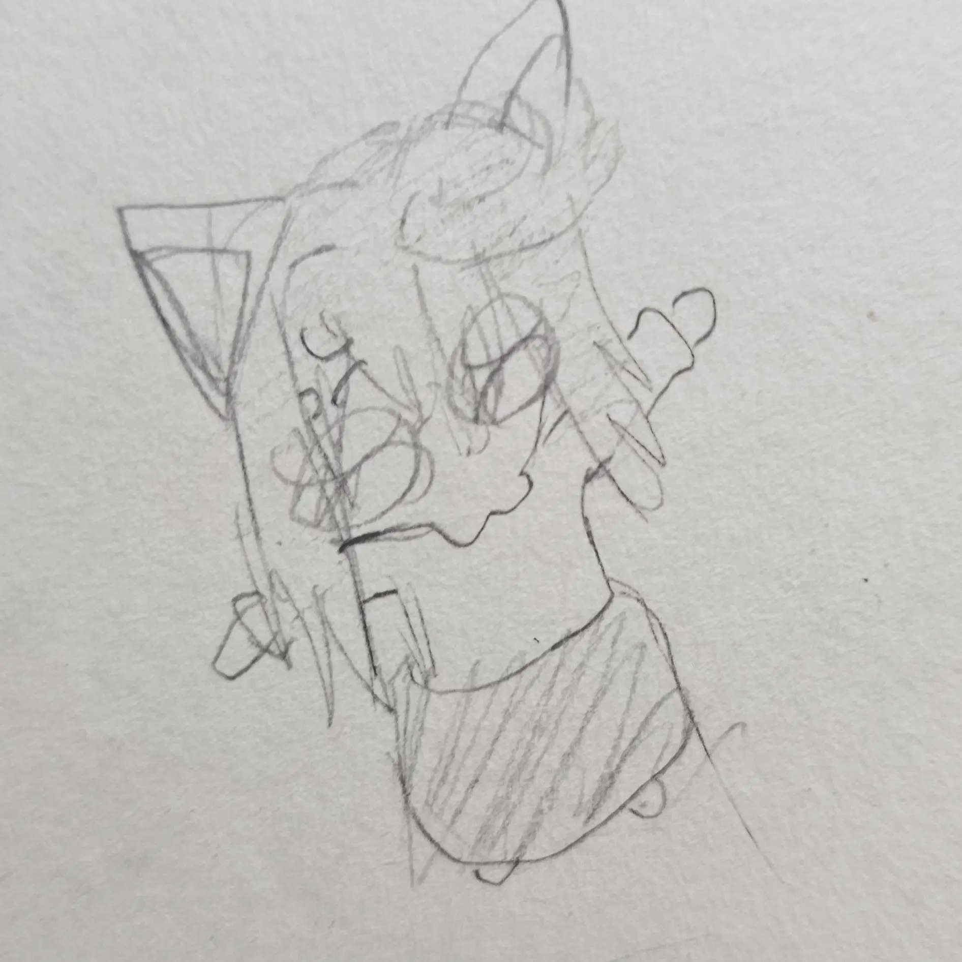 Tsu.-.ki-.hi_._me._.의 공지!!